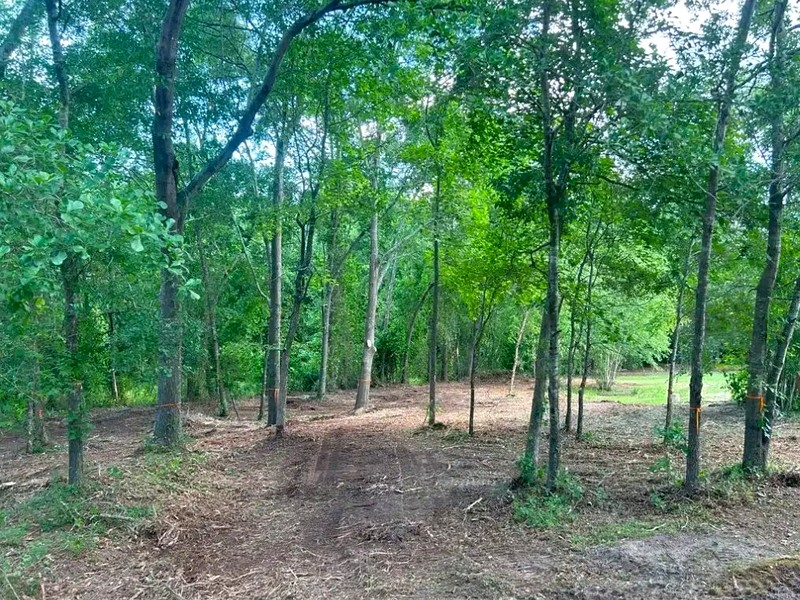 Cleared property after Cut Brush services in Garner NC