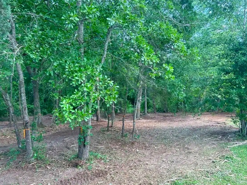 Clean cleared lot after professional brush removal in Garner