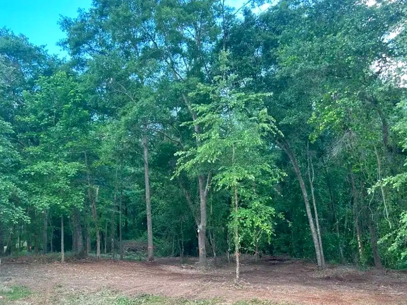 Cleared and mulched residential property after forestry mulching in Raleigh NC