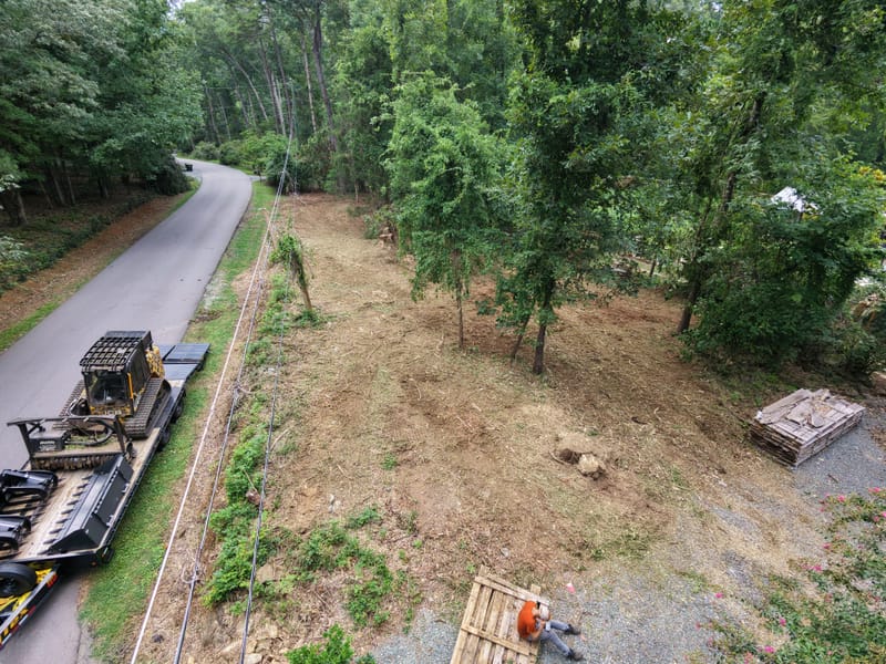 The same lot mulched to bare ground with its mature trees kept standing