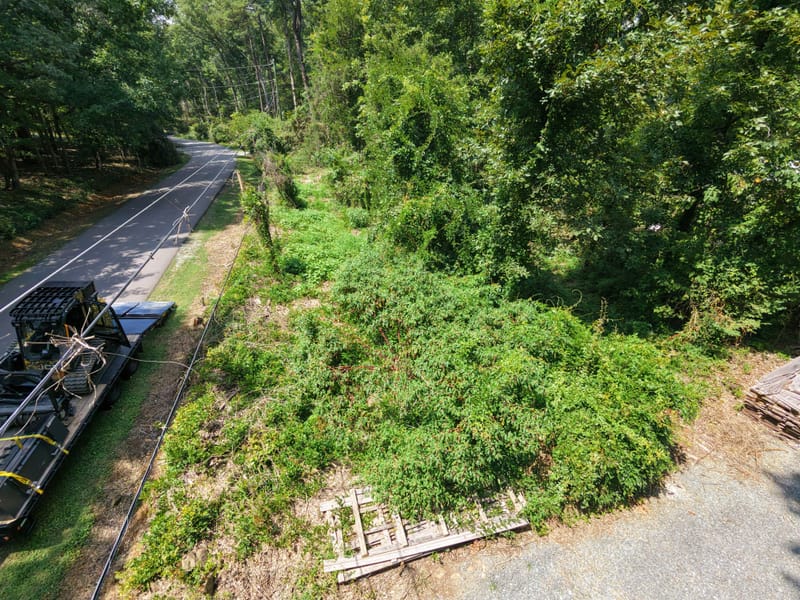 Aerial view of a roadside lot buried in vines and brush before Cut Brush forestry mulching