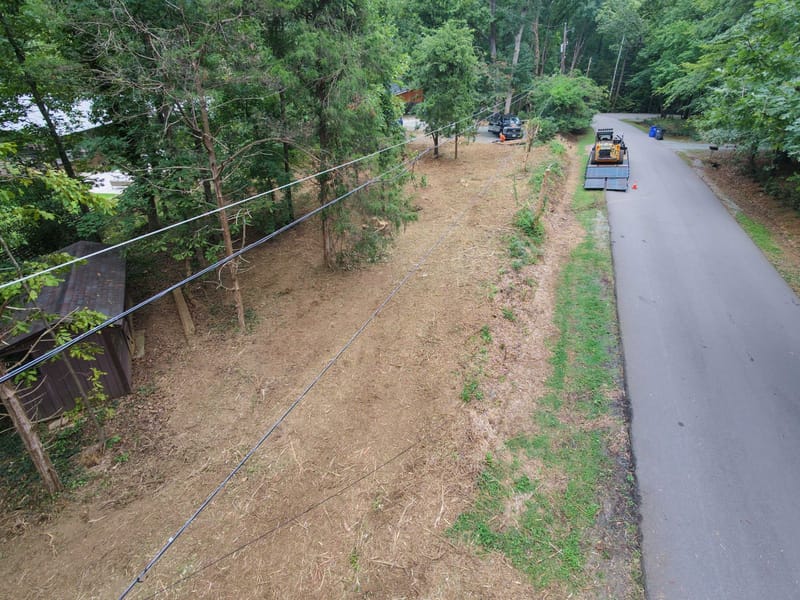 The same roadside strip cleared down to the ground beneath the power lines