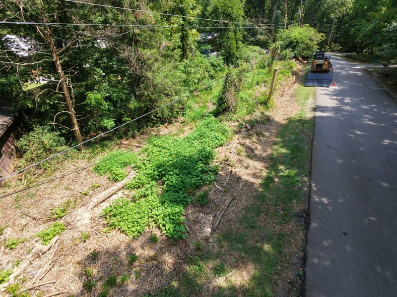 Aerial view of a brushy strip along a road and under power lines before clearing