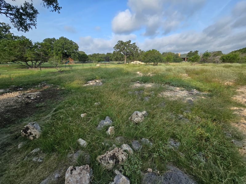 Rocky field overgrown with tall grass and weeds before brush hogging