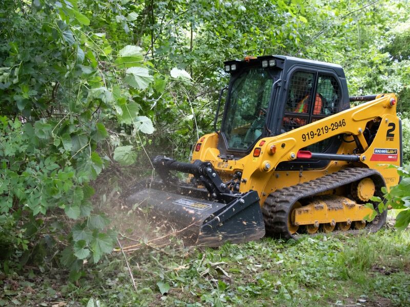 Invasive Species Removal