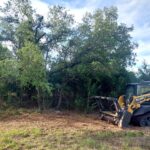 Forestry Mulching for Hunting Properties: How to Create Ideal Wildlife Openings
