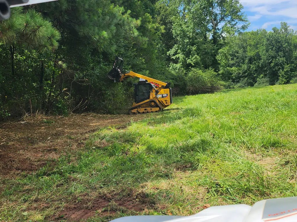 Forestry Mulching vs. Traditional Land Clearing: What’s the Best Choice for Your Property?