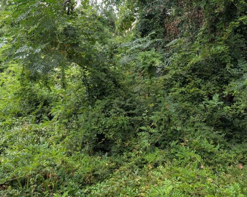 PXL_20250914_193656270.MP