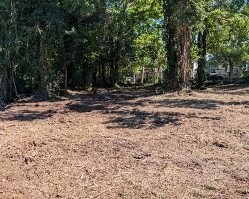 PXL_20250918_154934491.MP